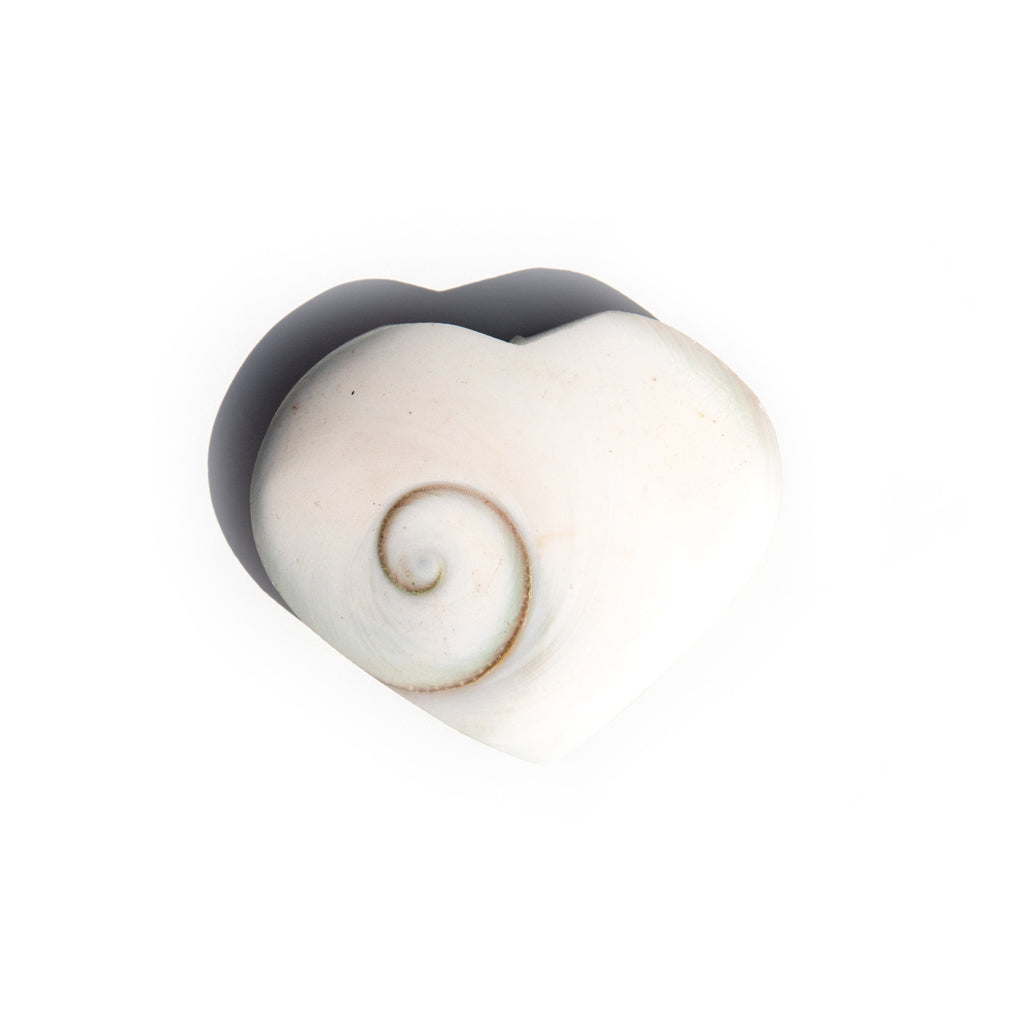 Shiva Shell Heart